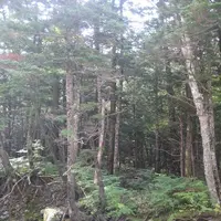 上高地の写真・動画_image_104256
