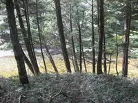 上高地の写真・動画_image_104258