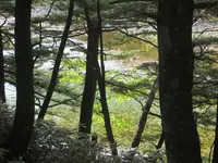 上高地の写真・動画_image_104259