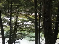 上高地の写真・動画_image_104260