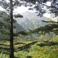 上高地の写真・動画_image_104263