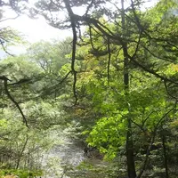 上高地の写真・動画_image_104264