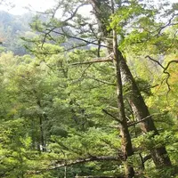 上高地の写真・動画_image_104265