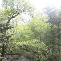 上高地の写真・動画_image_104266