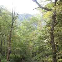 上高地の写真・動画_image_104268