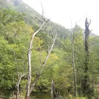 上高地の写真・動画_image_104269