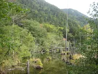 上高地の写真・動画_image_104270