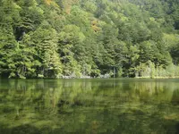 上高地の写真・動画_image_104286