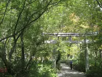 上高地の写真・動画_image_104288
