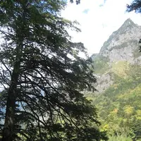 上高地の写真・動画_image_104302