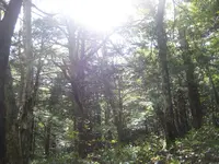上高地の写真・動画_image_104304