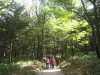 上高地の写真・動画_image_104306