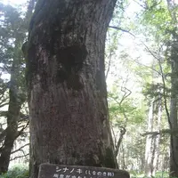上高地の写真・動画_image_104307