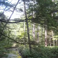 上高地の写真・動画_image_104312