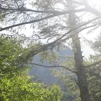 上高地の写真・動画_image_104313