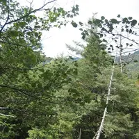 上高地の写真・動画_image_104332