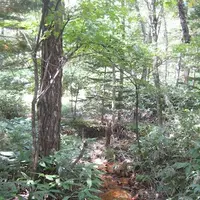 上高地の写真・動画_image_104336