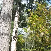 上高地の写真・動画_image_104338