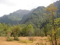 上高地の写真・動画_image_104340