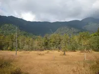上高地の写真・動画_image_104341