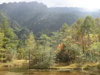 上高地の写真・動画_image_104343