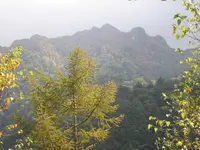上高地の写真・動画_image_104345