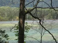 上高地の写真・動画_image_104354