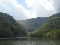 上高地の写真・動画_image_104357