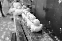 宮ケ瀬湖の写真・動画_image_104369