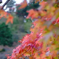 宮ケ瀬湖の写真・動画_image_104371