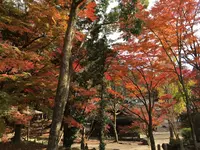 定光寺の写真・動画_image_104375