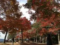 定光寺の写真・動画_image_104376