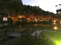 東山動物園の写真・動画_image_104388