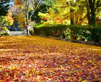御嶽山 播州清水寺の写真・動画_image_104439
