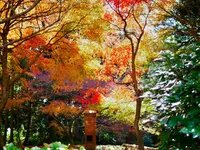 御嶽山 播州清水寺の写真・動画_image_104440