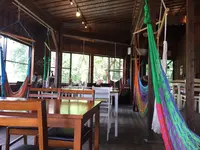 フィンランドの森の写真・動画_image_104444