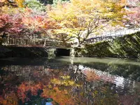 円通寺の写真・動画_image_104512