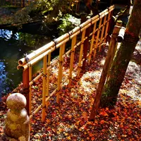 円通寺の写真・動画_image_104514