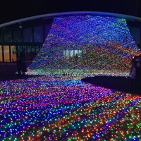 よみうりランドの写真・動画_image_104536