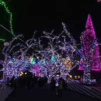 よみうりランドの写真・動画_image_104537