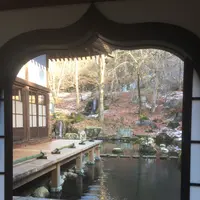 吉祥寺の写真・動画_image_104611