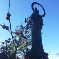 吉祥寺の写真・動画_image_104612