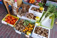 今津港の写真・動画_image_104634