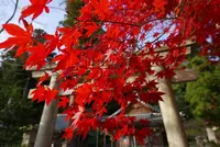 意富布良神社の写真・動画_image_104677