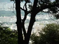 豊国神社の写真・動画_image_104706