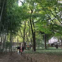 蘆花恒春園の写真・動画_image_104820