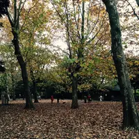 蘆花恒春園の写真・動画_image_104822