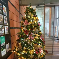 サピアタワーの写真・動画_image_104909