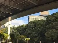 弁慶橋の写真・動画_image_104955