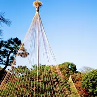 六義園の写真・動画_image_105104
